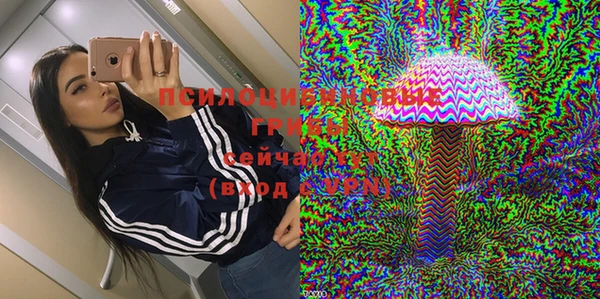 спиды Алексин