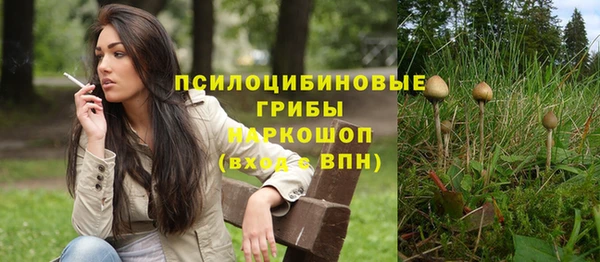 МДПВ Алексеевка