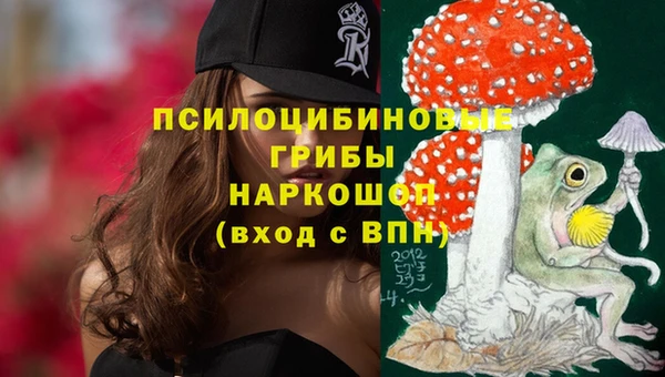 спиды Алексин