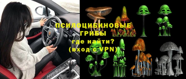МДПВ Алексеевка