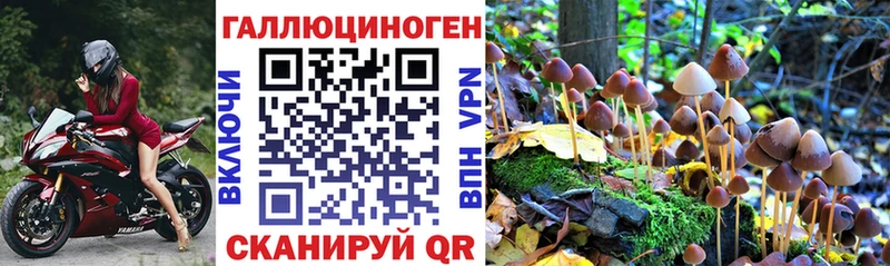 Галлюциногенные грибы Psilocybine cubensis  Кремёнки 